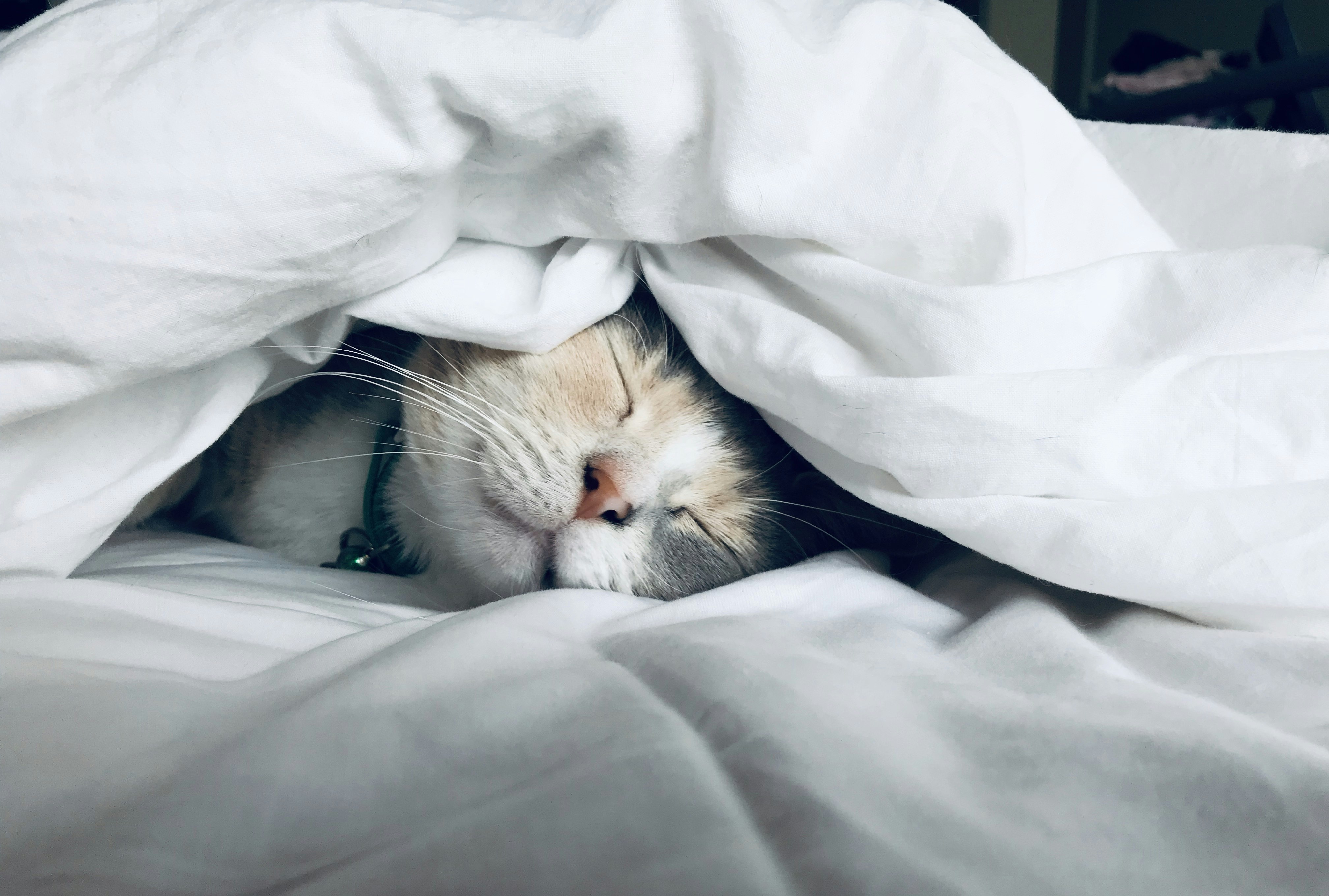 Deep restorative sleep
